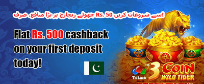 فری اسپنز کا دھماکہ 🚀 promotion